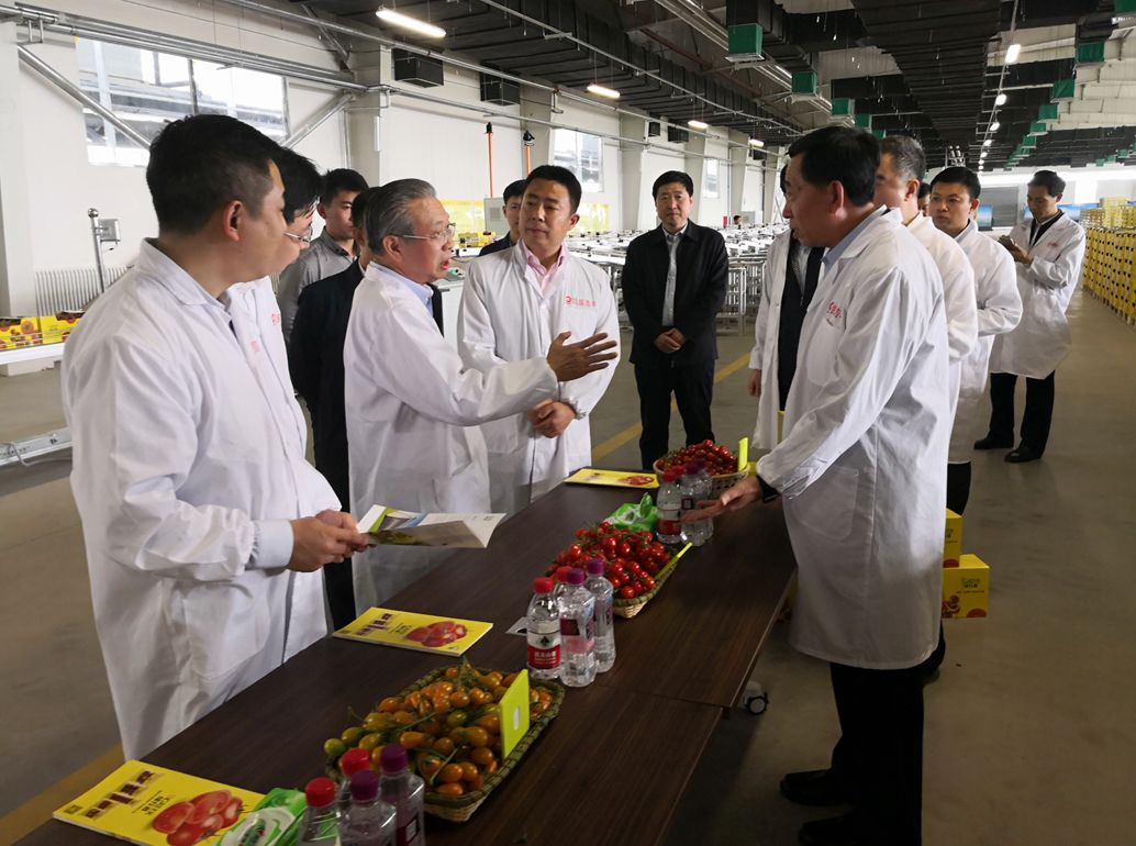 pg电子游戏试玩(中国游)官方网站-APP下载