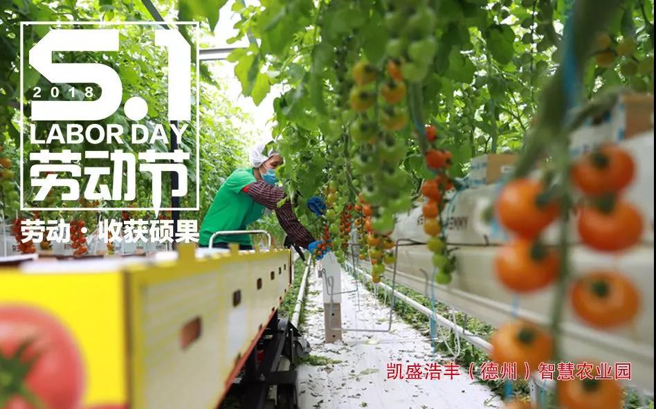 pg电子游戏试玩(中国游)官方网站-APP下载