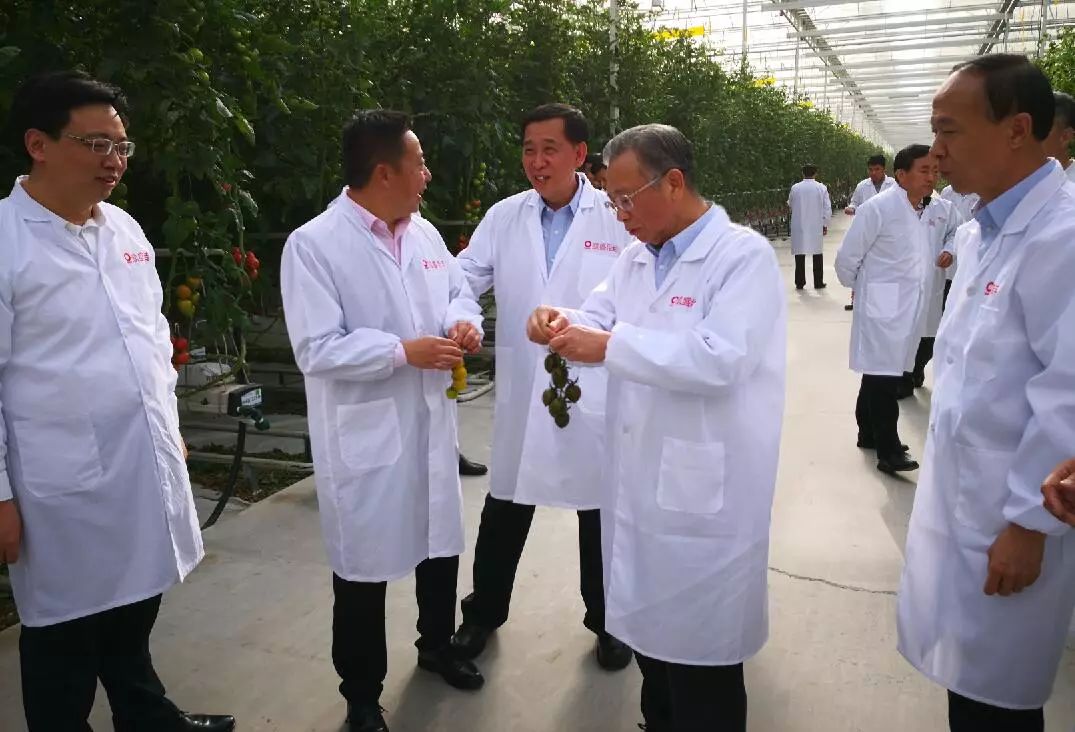 pg电子游戏试玩(中国游)官方网站-APP下载