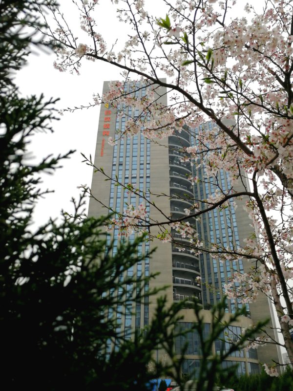 3868la天河总站(集团)股份有限公司 - Make It Possible